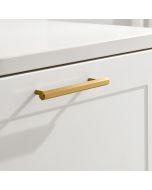 Beehive Pull Handles in Gold