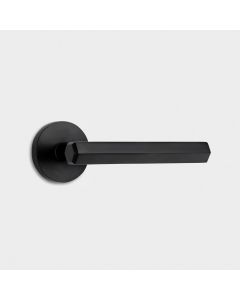 Brass Hexagonal Lever Door Handle in Black 