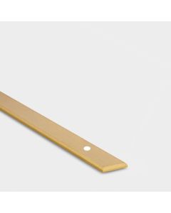 Brass Backplate - Gold - 224mm Hole Centre