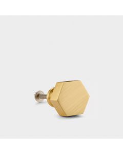 Hexagonal Door & Cabinet Knobs in Gold